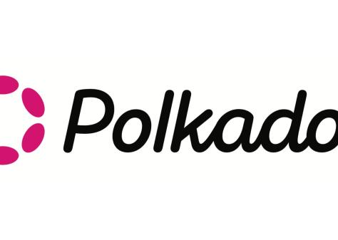 Polkadot: vše, co potřebujete vědět